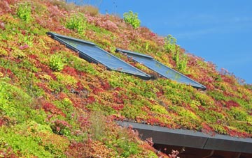 Clapham Hill living roof systems